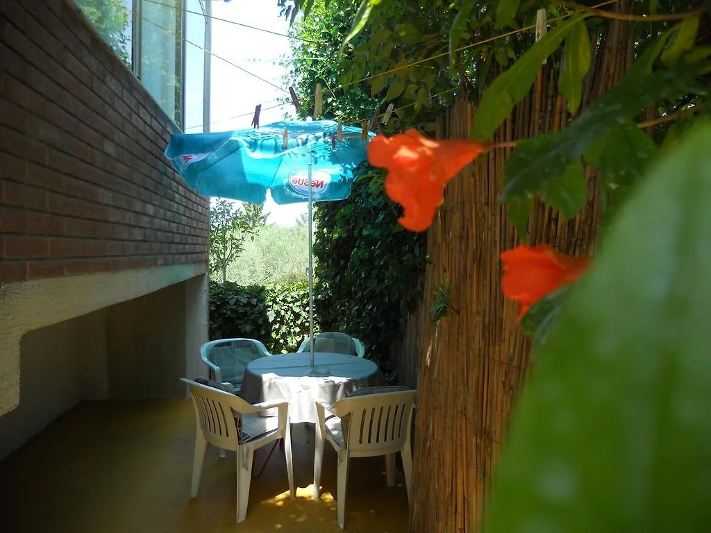 Apartment Alice Novigrad Istria 0*,